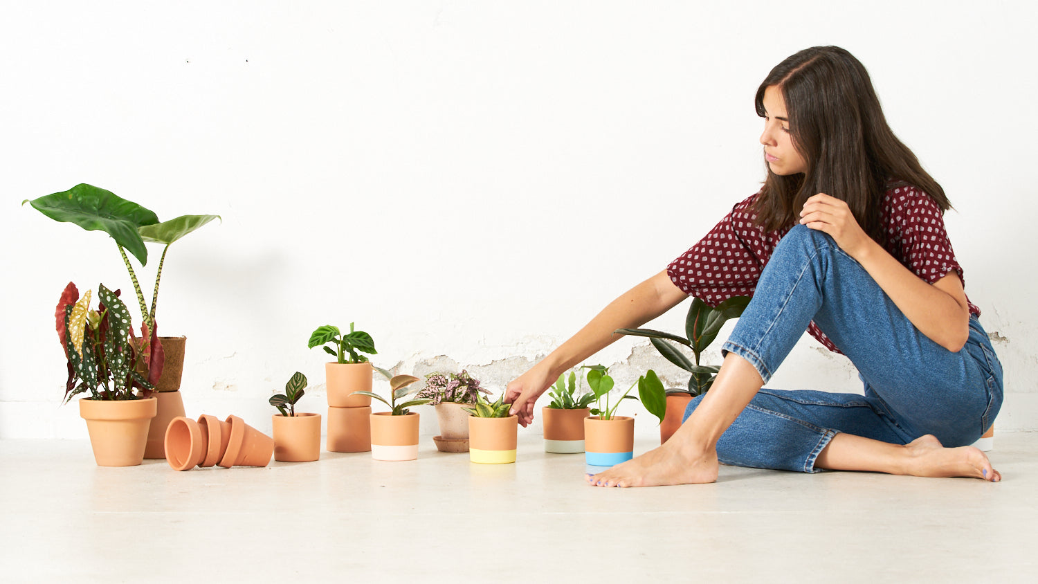 Primeros pasos al recibir tus mini plantas