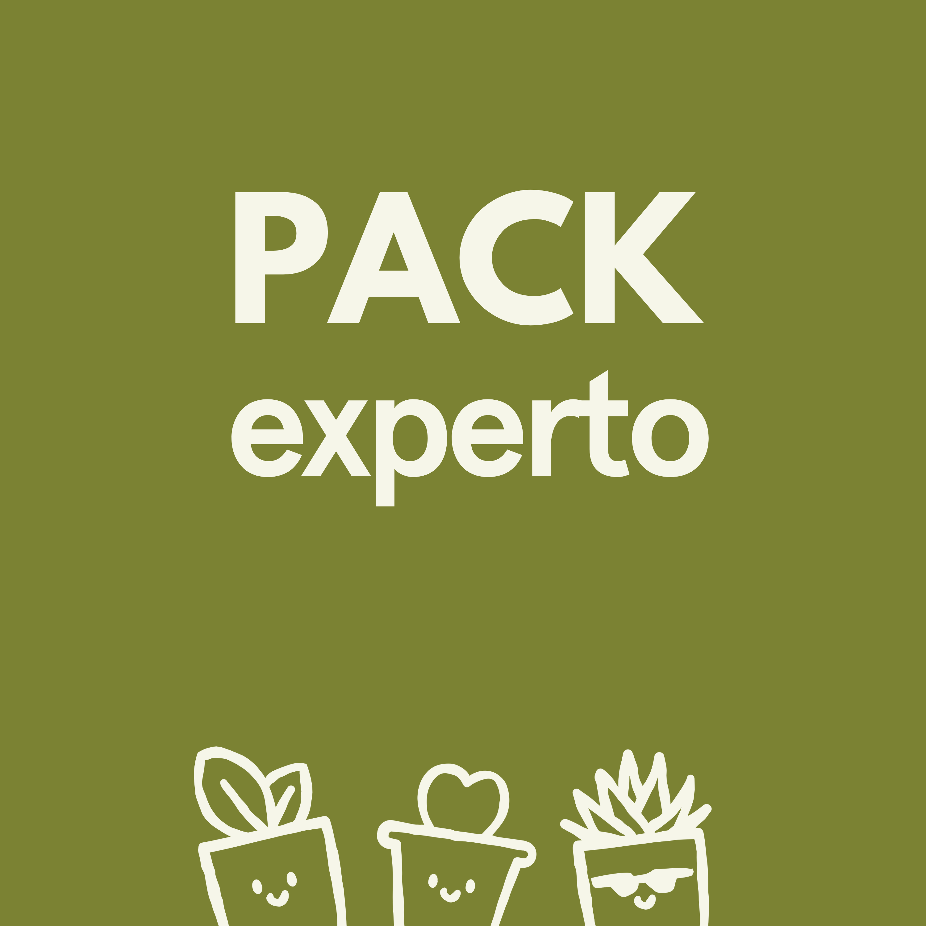 PACK EXPERTO