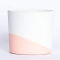 Maceta Rosa Chicle con Blanco 14cm