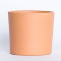 Maceta miniplanta 14cm