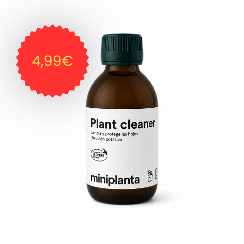 Plant cleaner Hojas Limpias