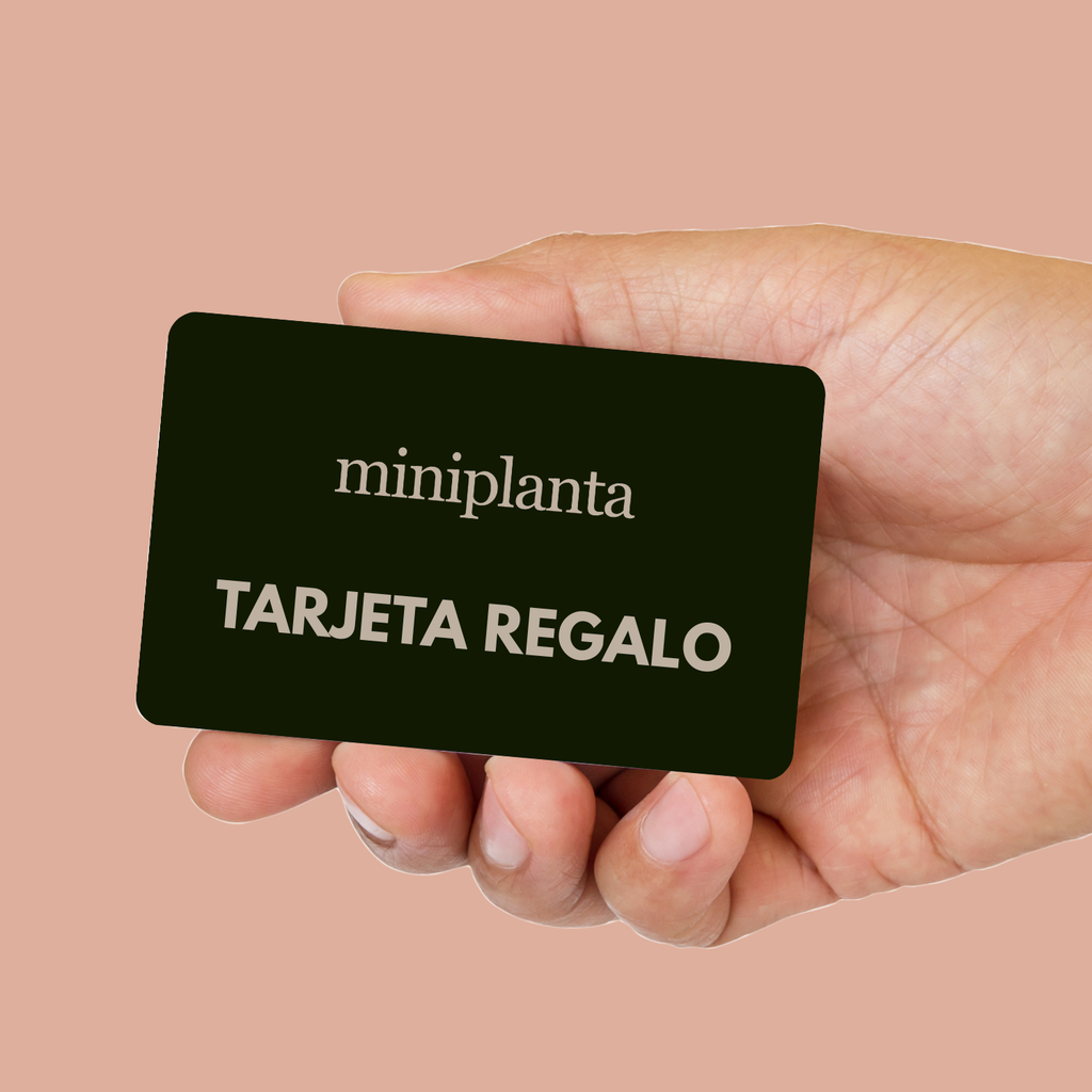 TARJETA REGALO 🎁 Miniplanta