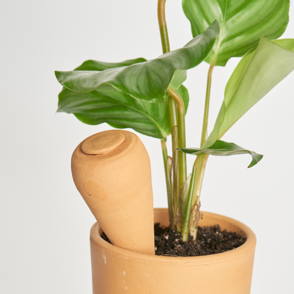 KIT Autorriego Miniplanta (Talla S + M)