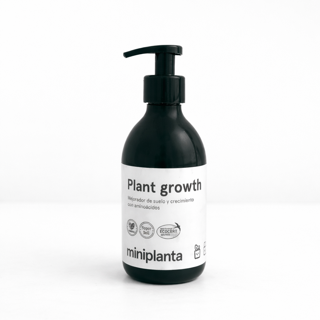 Plant growth Crecimiento