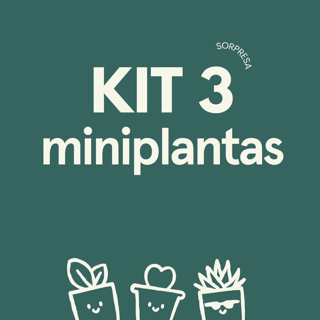 KIT 3 MINIS
