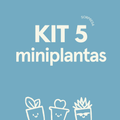 KIT 5 MINIS