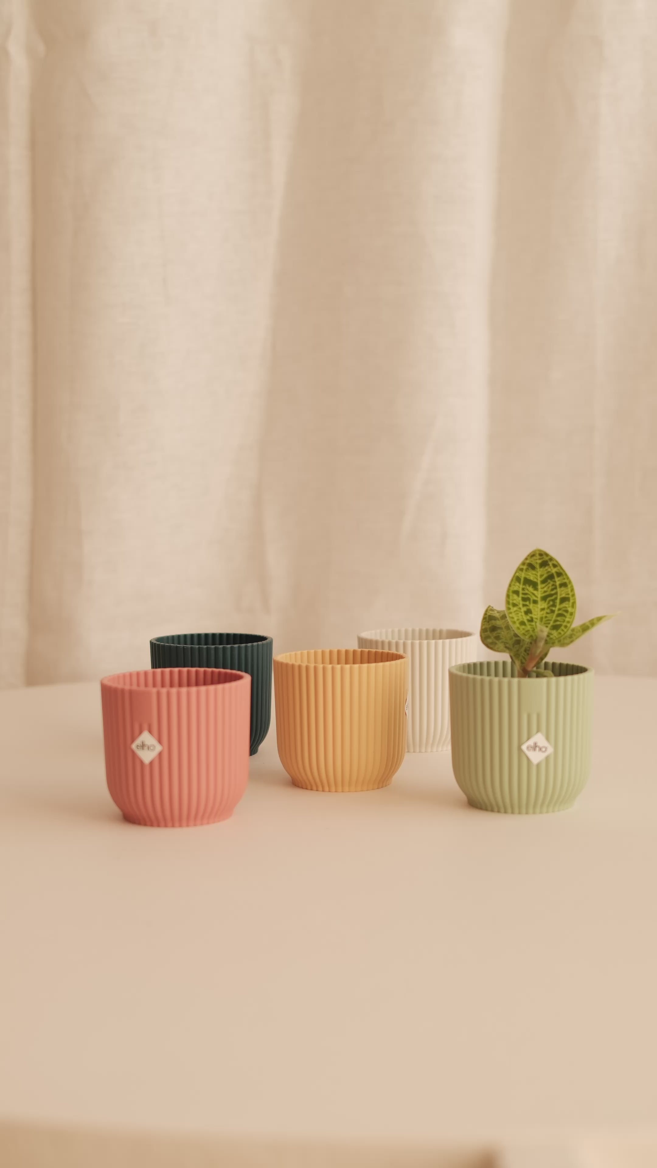 Maceta Vibes Mini (Varios Colores)