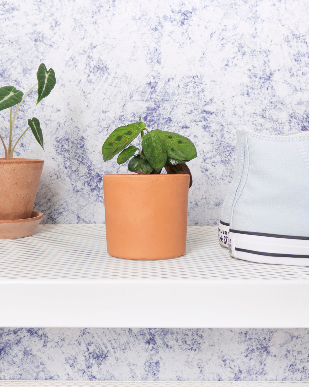 Maceta miniplanta 9cm