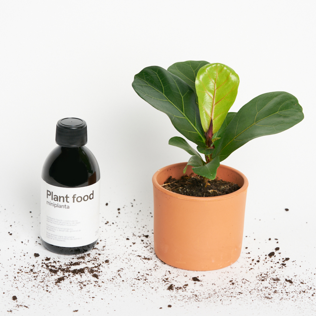 Plant Food miniplanta - Fertilizante natural