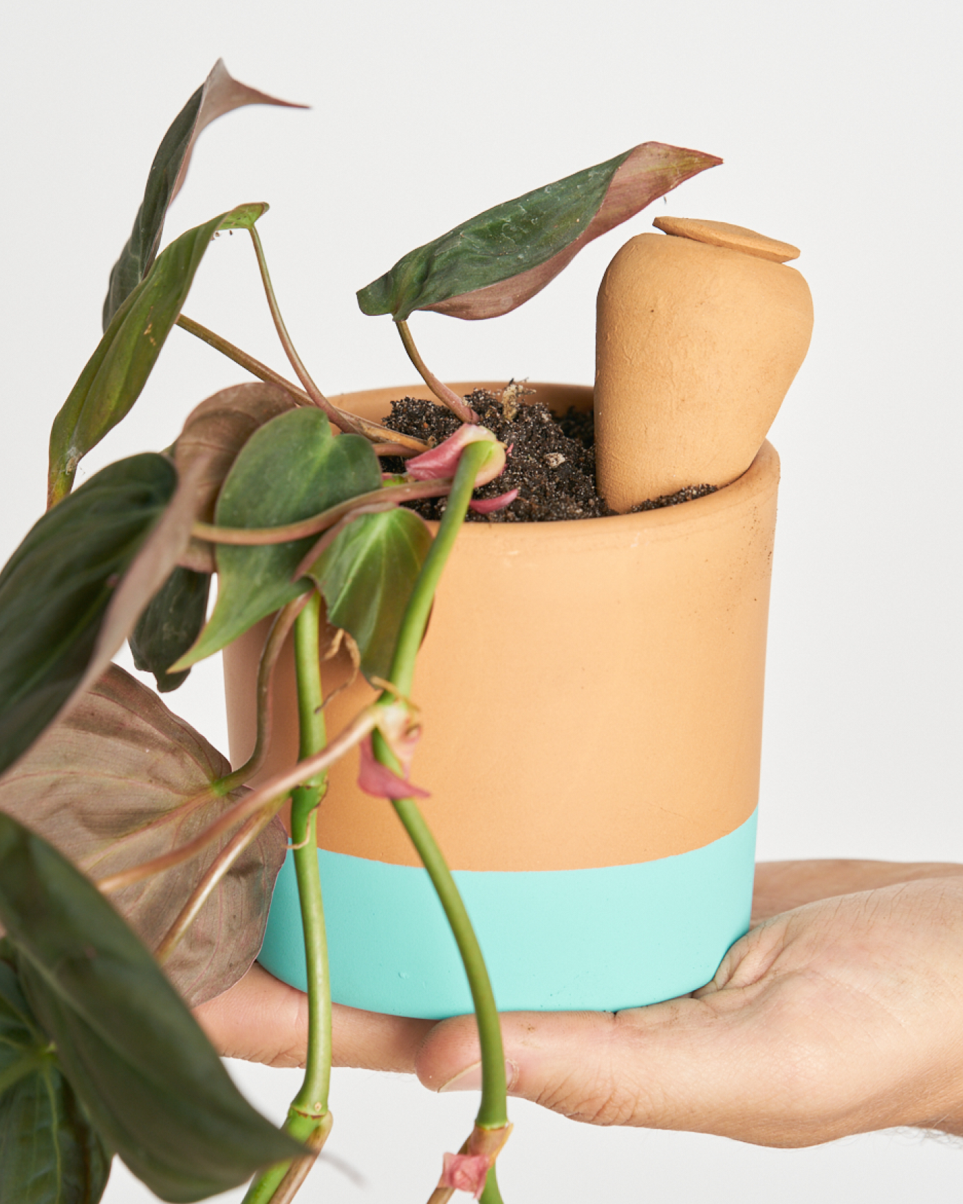 Autorriego miniplanta talla S